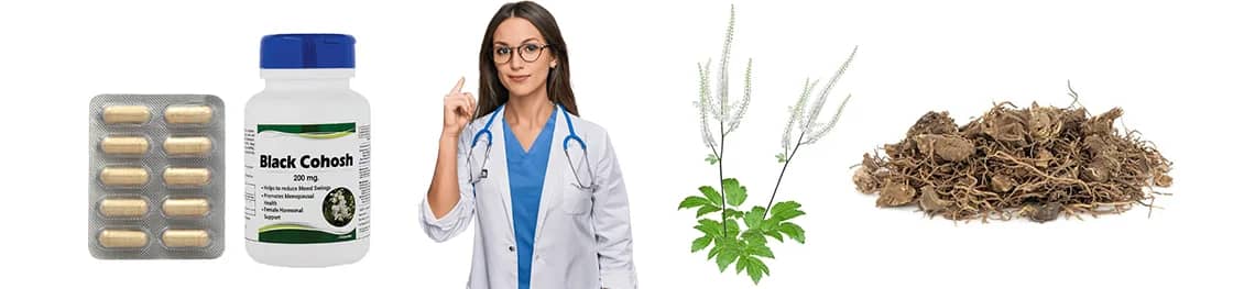 What-Are-The-Uses-and-Side-Effects-Of-Black-Cohosh in a webp image