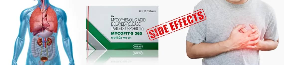 mycophenolic acid side effects in patients undergoing organ transplant in a webp image