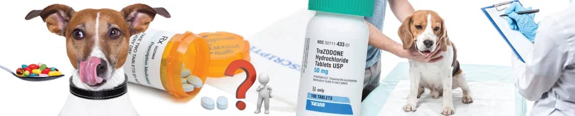 CAN YOU GIVE TRAZODONE TO YOUR PETS WITHOUT PRESCRIPTION FROM YOUR VET