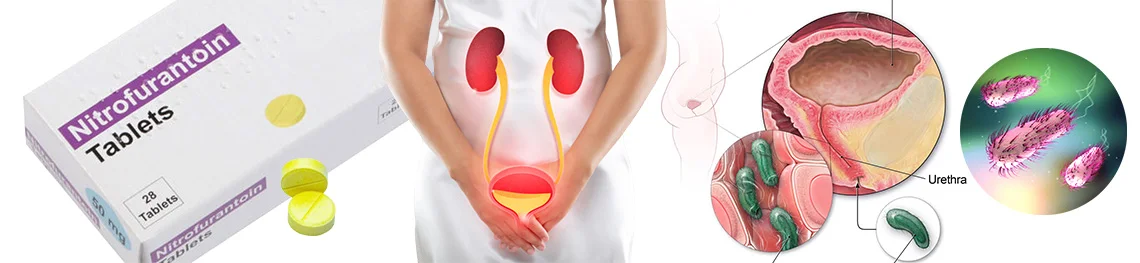 How long does nitrofurantoin take to work on a urinary tract infection?