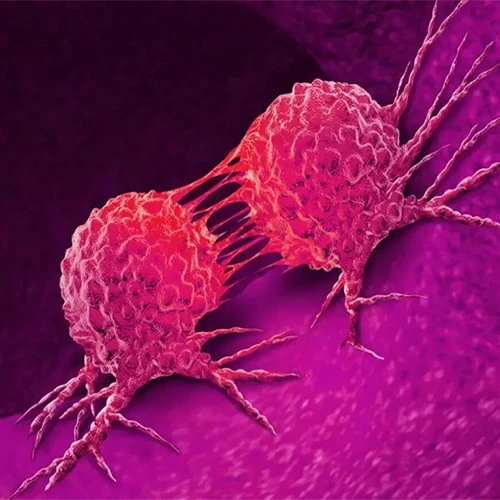 Anti Neoplastic